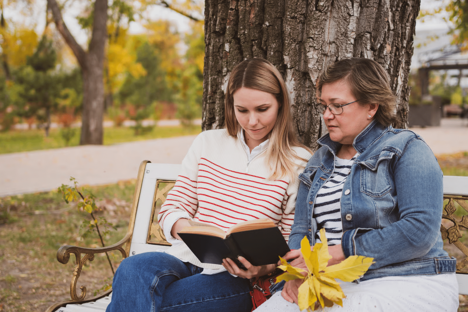 Bible translation and literacy